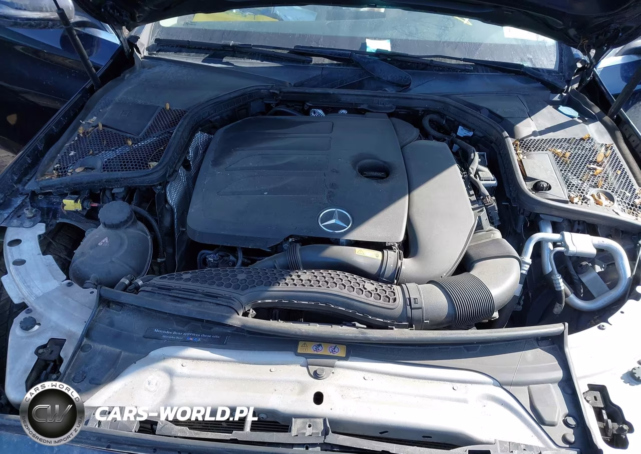 2019 Mercedes-Benz C 300 4Matic VIN:55SWF8EB4KU291641 - 10