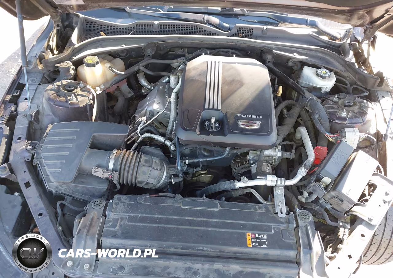 2020 Cadillac Ct4 Luxury VIN:1G6DJ5RK4L0154637 - 10