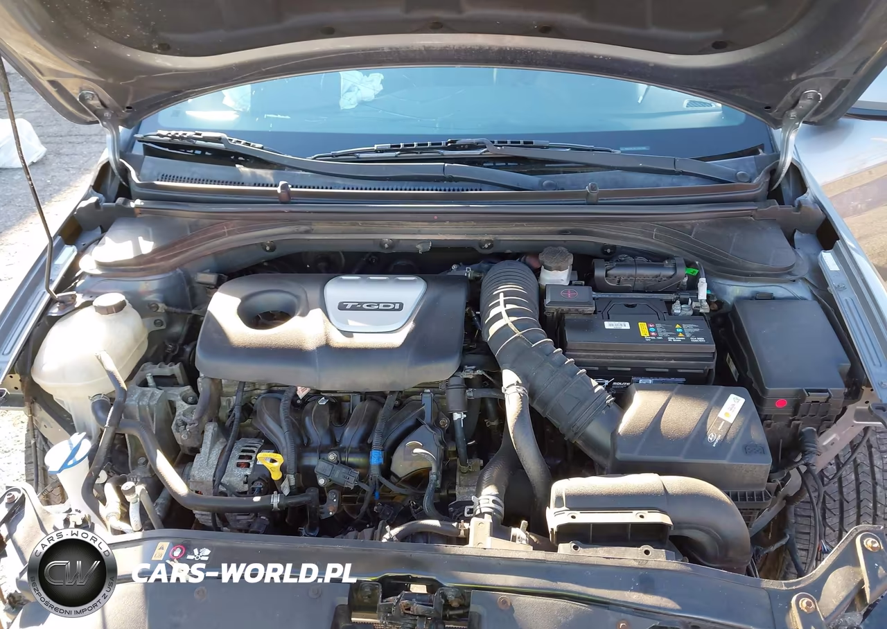 2018 Hyundai Elantra Sport VIN:KMHD04LBXJU507886 - 10