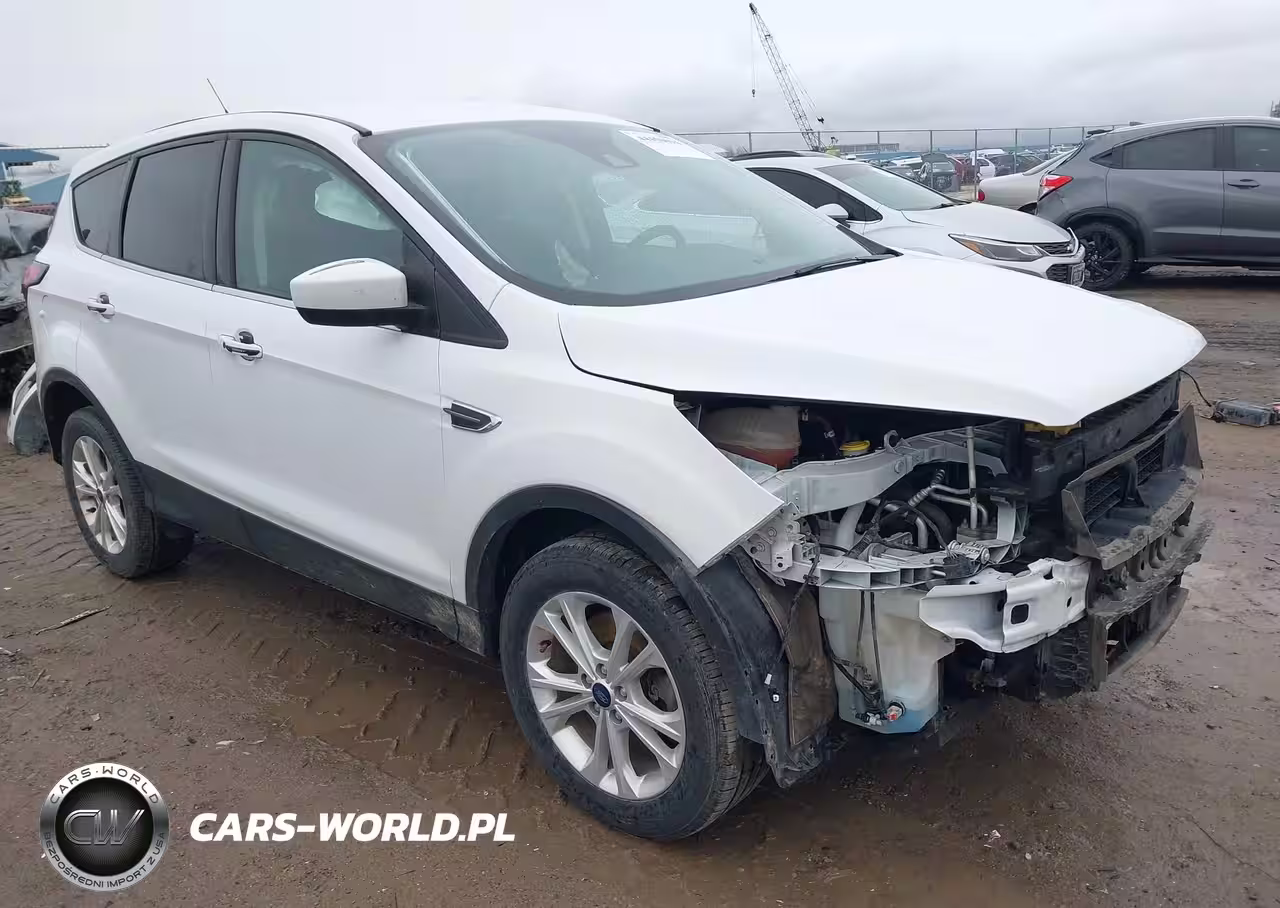 2019 Ford Escape Se