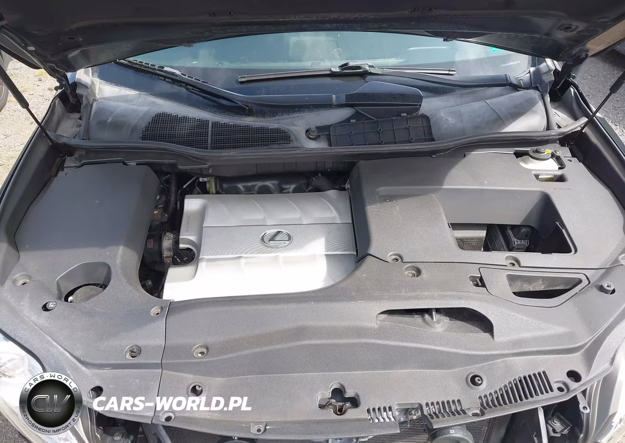 2011 Lexus Rx 350 VIN:JTJZK1BA0B2410993 - 10