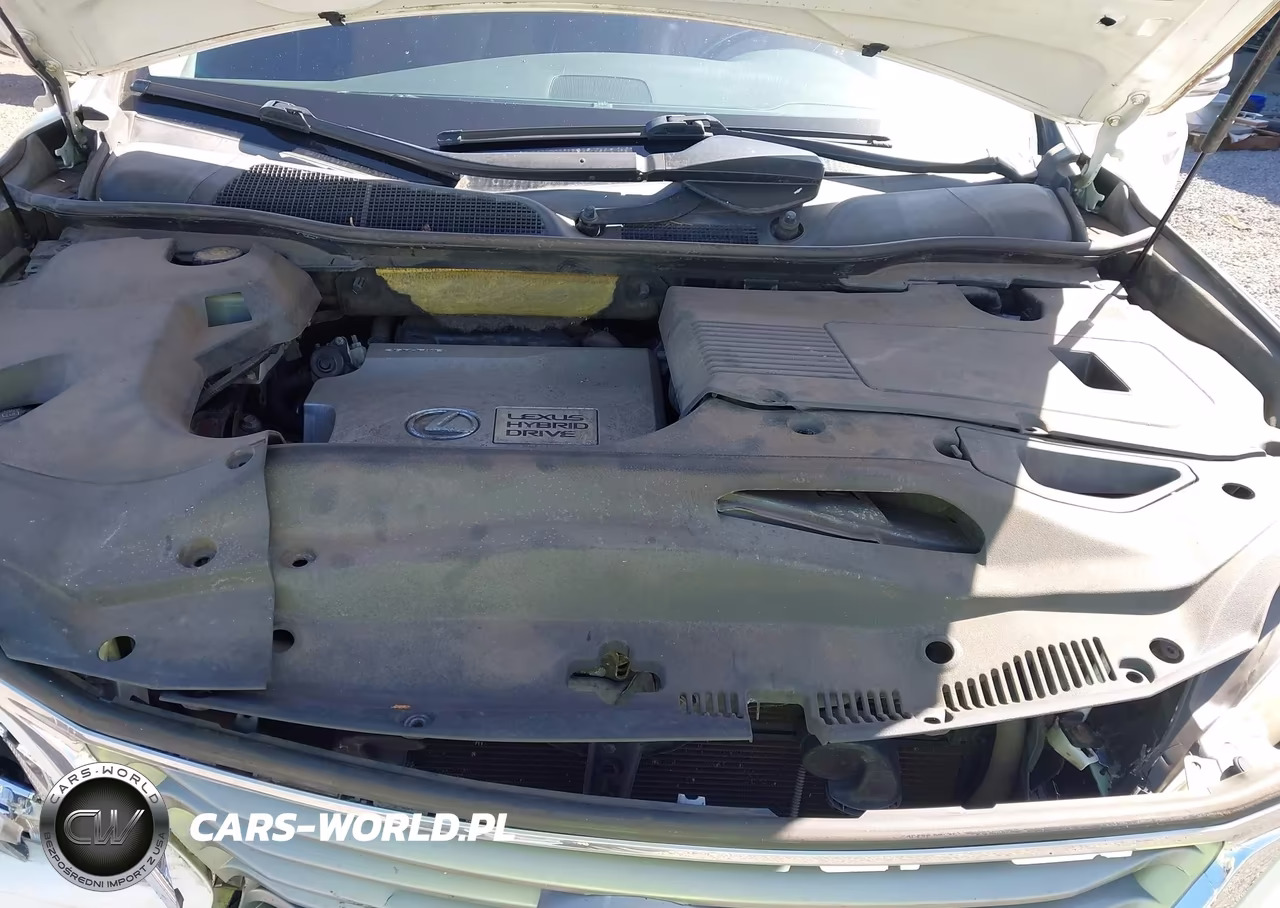 2013 Lexus Rx 450H VIN:JTJZB1BA9D2008926 - 10