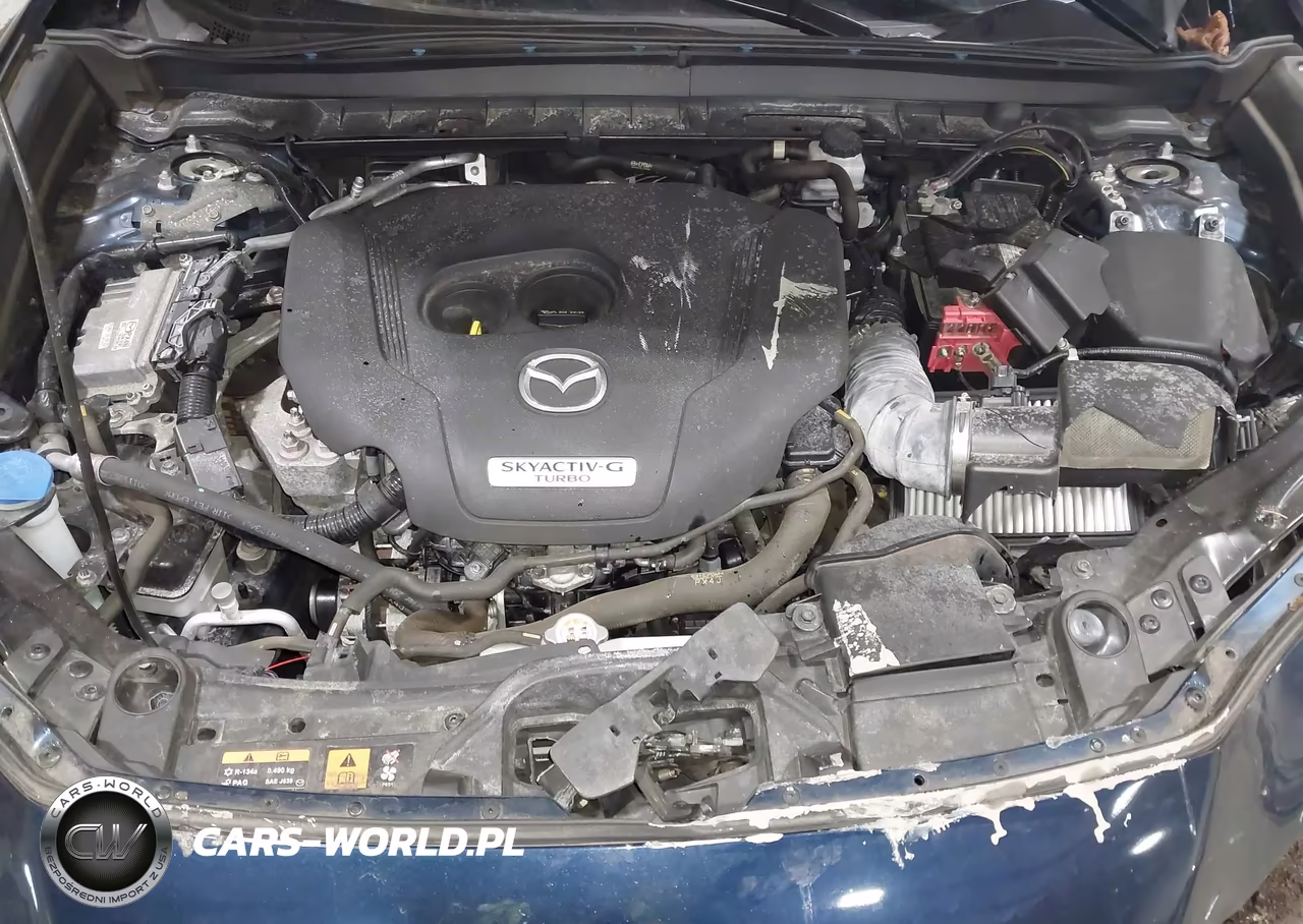 2021 Mazda Cx-30 2.5 Turbo Premium VIN:3MVDMBDY3MM235835 - 10