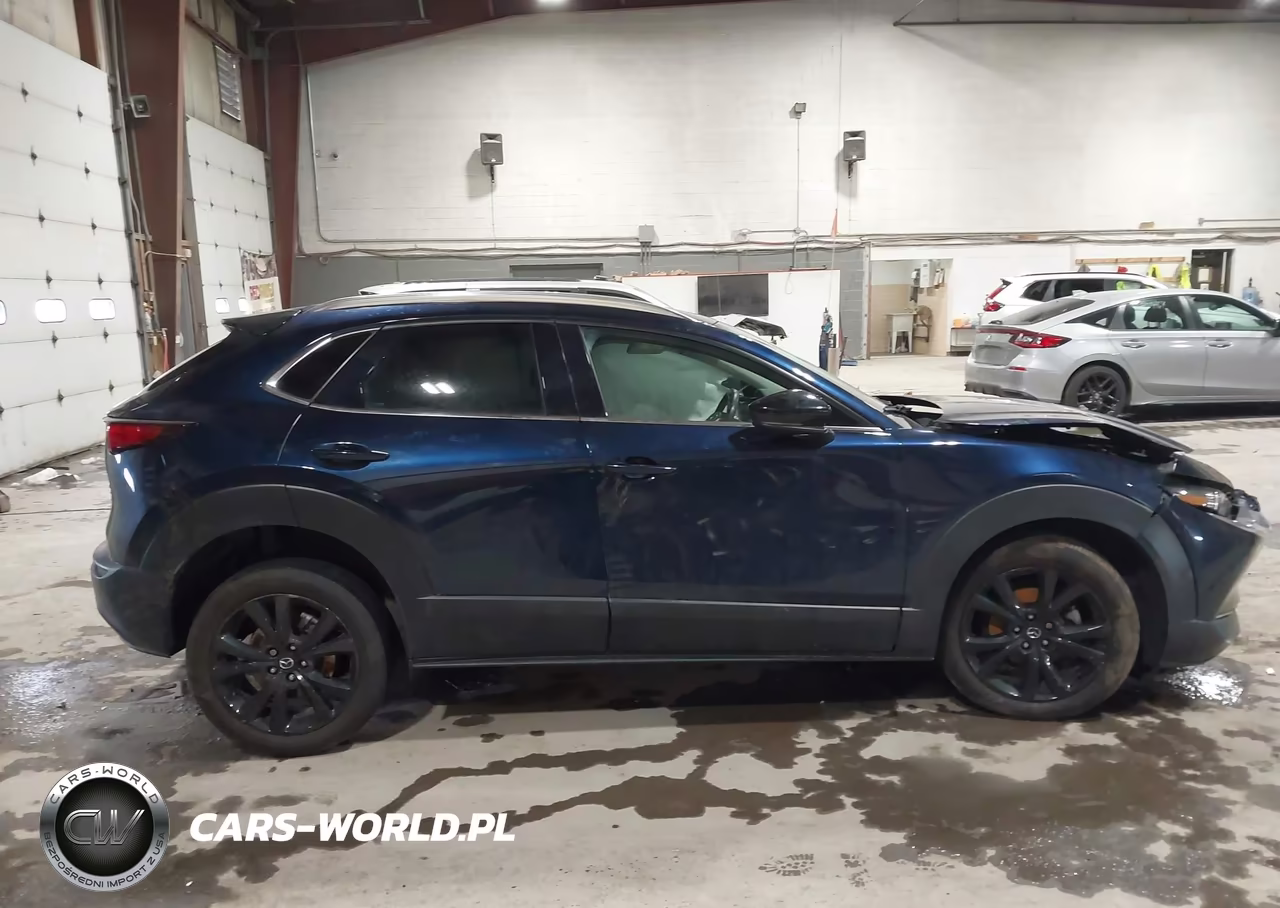2021 Mazda Cx-30 2.5 Turbo Premium VIN:3MVDMBDY3MM235835 - 13