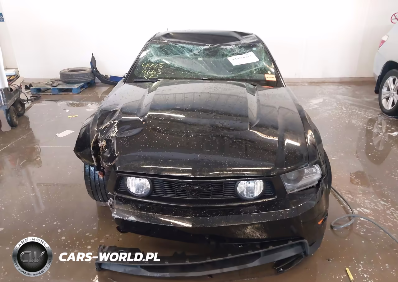 2010 Ford Mustang Gt-Gt Premium VIN:1ZVBP8CH6A5145792 - 12