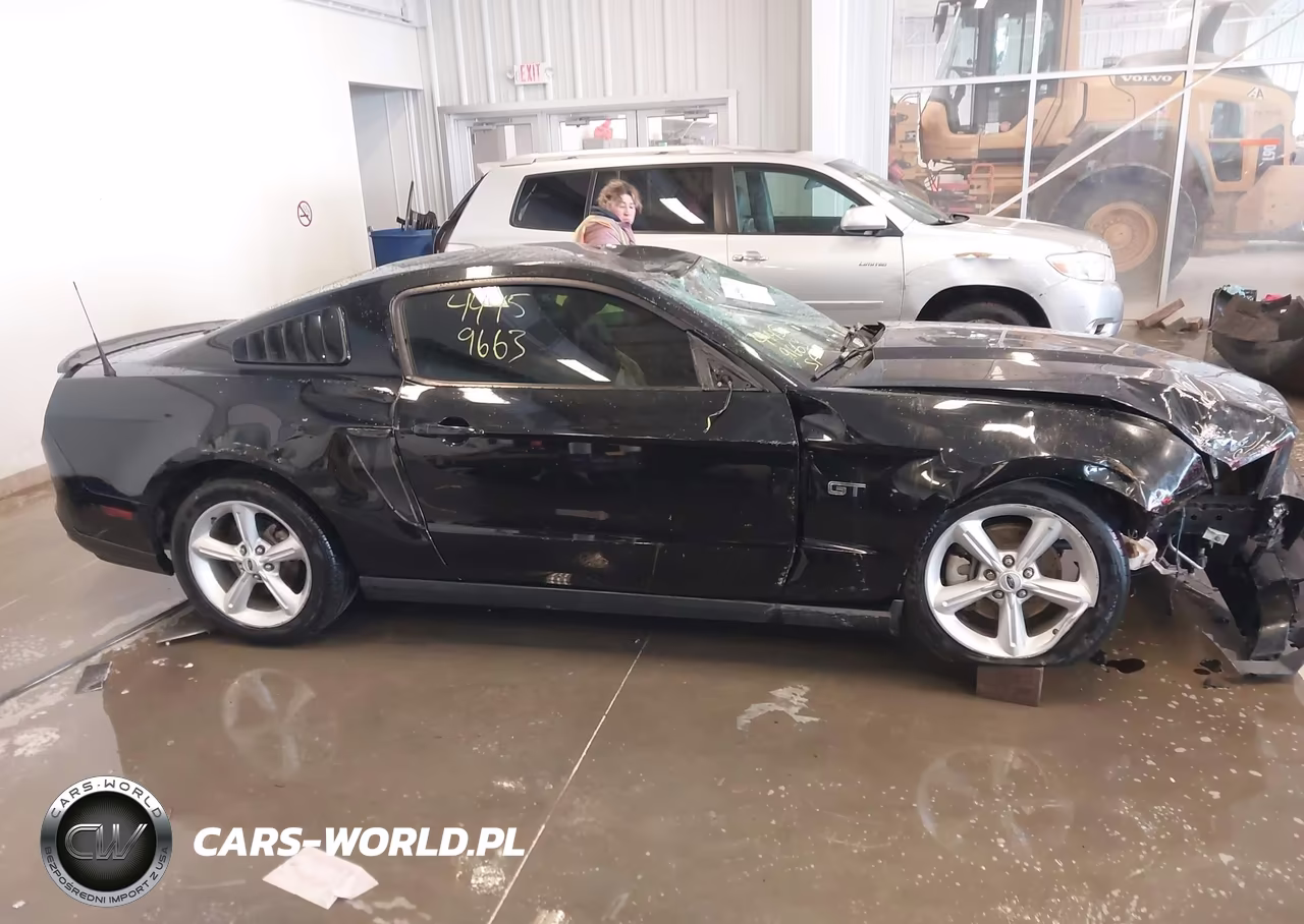 2010 Ford Mustang Gt-Gt Premium VIN:1ZVBP8CH6A5145792 - 13