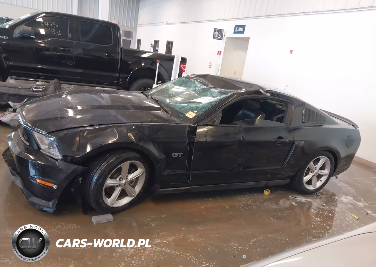 2010 Ford Mustang Gt-Gt Premium VIN:1ZVBP8CH6A5145792 - 14