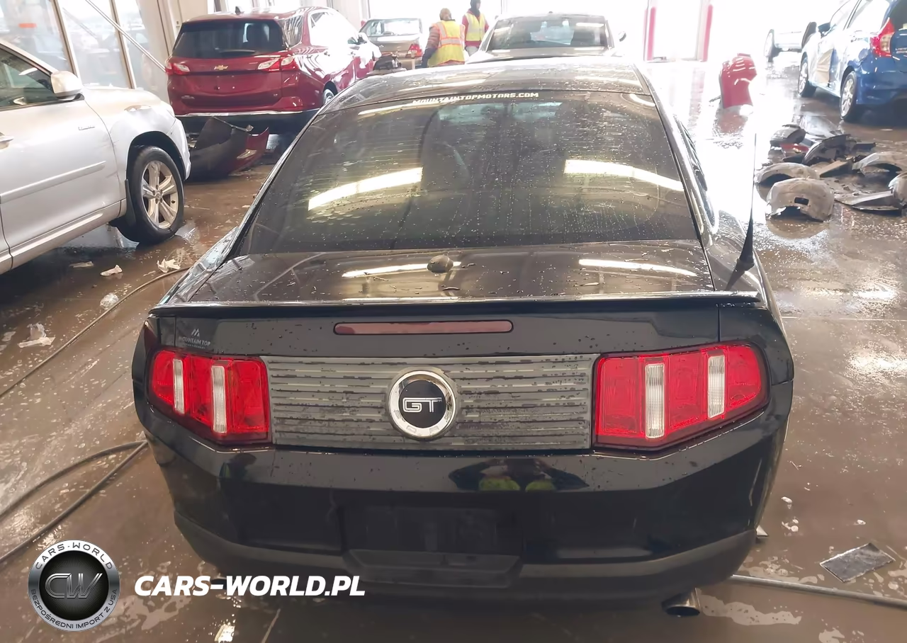 2010 Ford Mustang Gt-Gt Premium VIN:1ZVBP8CH6A5145792 - 16