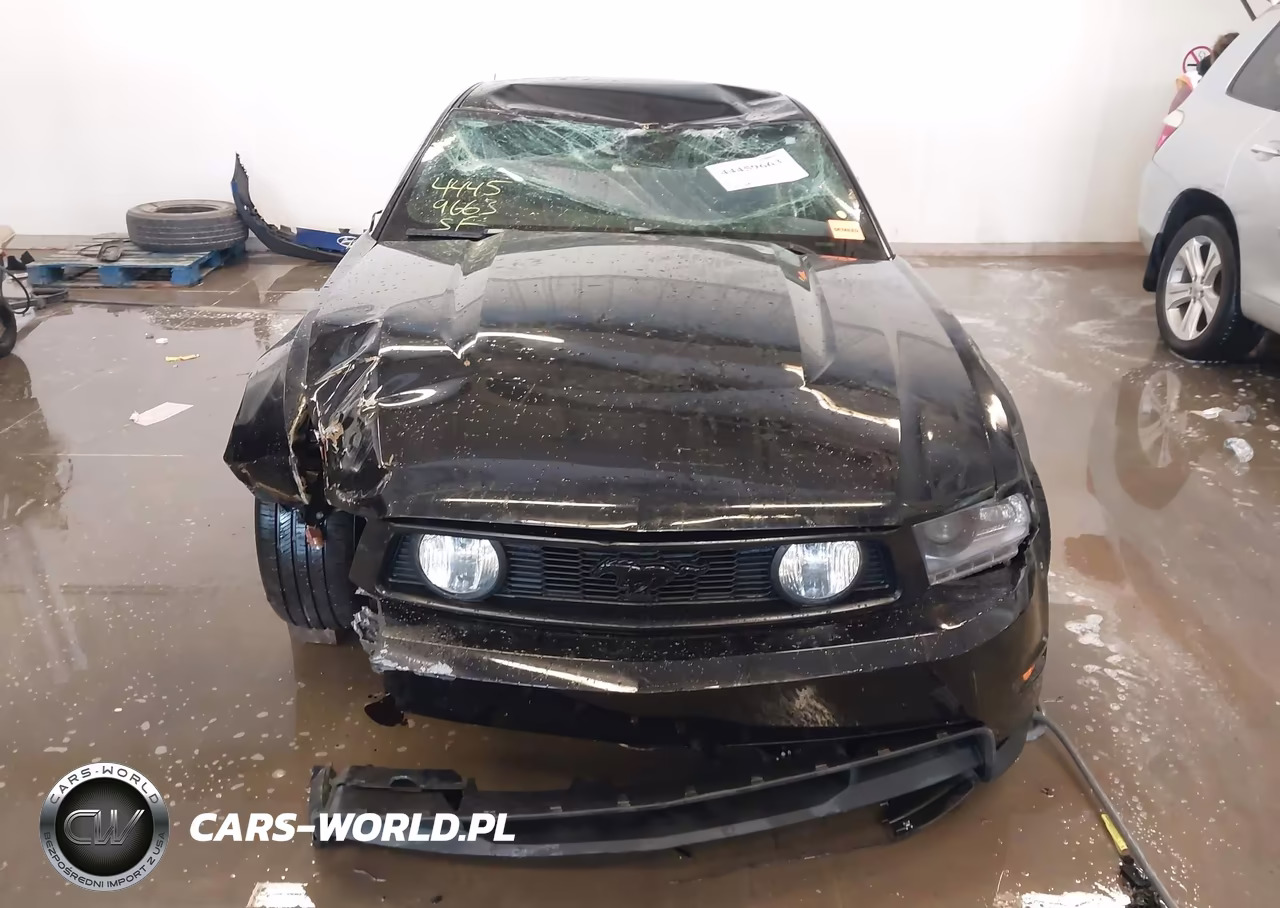 2010 Ford Mustang Gt-Gt Premium VIN:1ZVBP8CH6A5145792 - 17