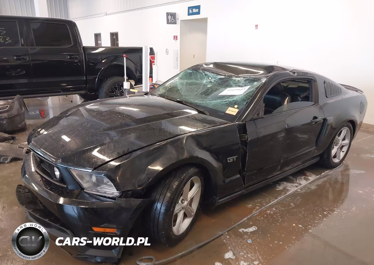 2010 Ford Mustang Gt-Gt Premium VIN:1ZVBP8CH6A5145792 - 18