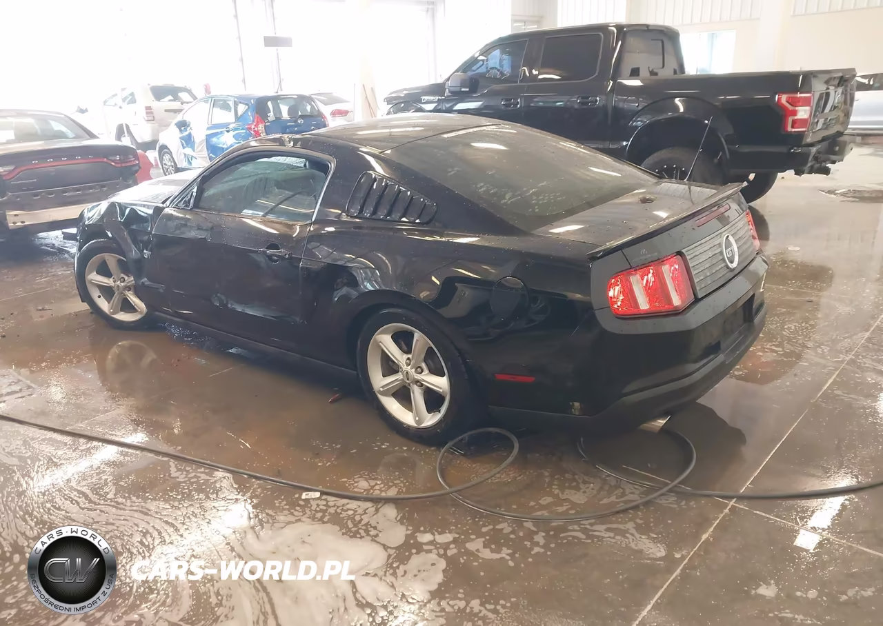 2010 Ford Mustang Gt-Gt Premium VIN:1ZVBP8CH6A5145792 - 3