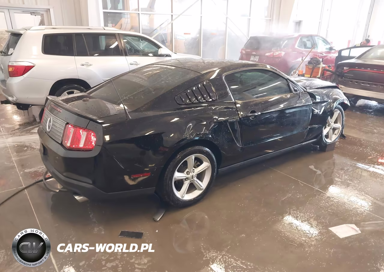 2010 Ford Mustang Gt-Gt Premium VIN:1ZVBP8CH6A5145792 - 4