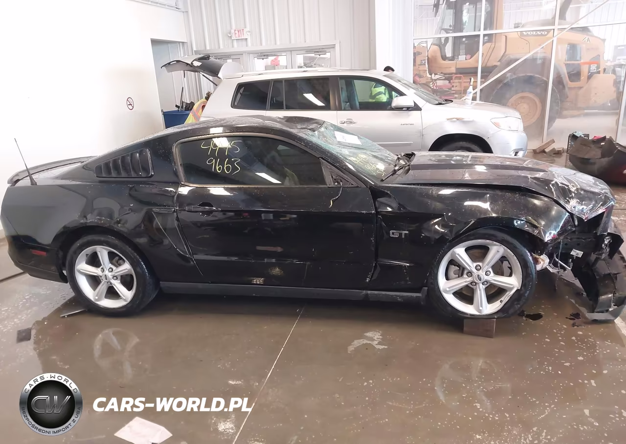 2010 Ford Mustang Gt-Gt Premium VIN:1ZVBP8CH6A5145792 - 6