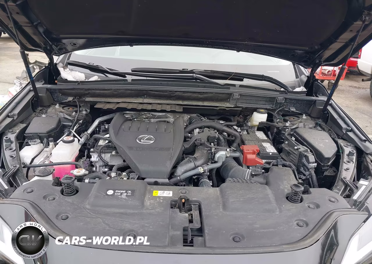 2025 Lexus Nx 350 Premium VIN:2T2GGCEZ7SC075592 - 10