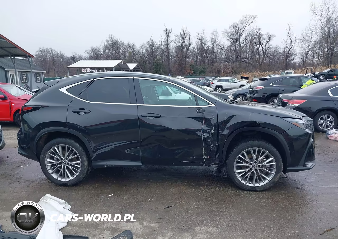 2025 Lexus Nx 350 Premium VIN:2T2GGCEZ7SC075592 - 13