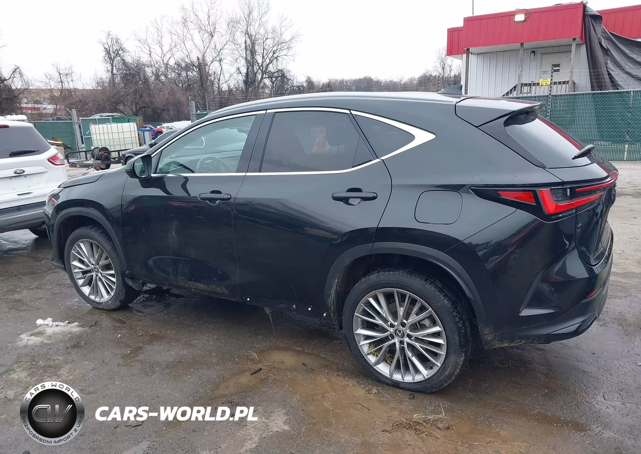 2025 Lexus Nx 350 Premium VIN:2T2GGCEZ7SC075592 - 14