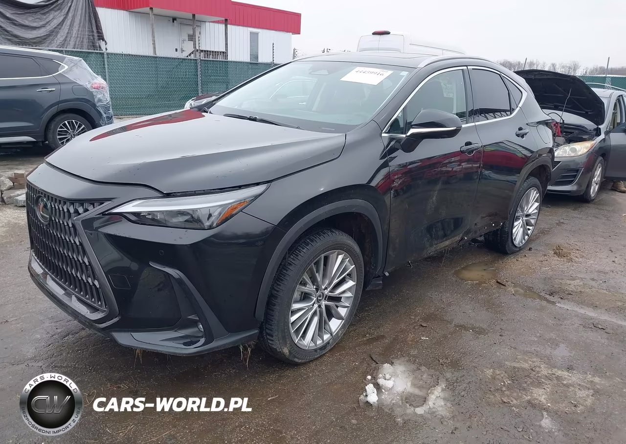 2025 Lexus Nx 350 Premium VIN:2T2GGCEZ7SC075592 - 2