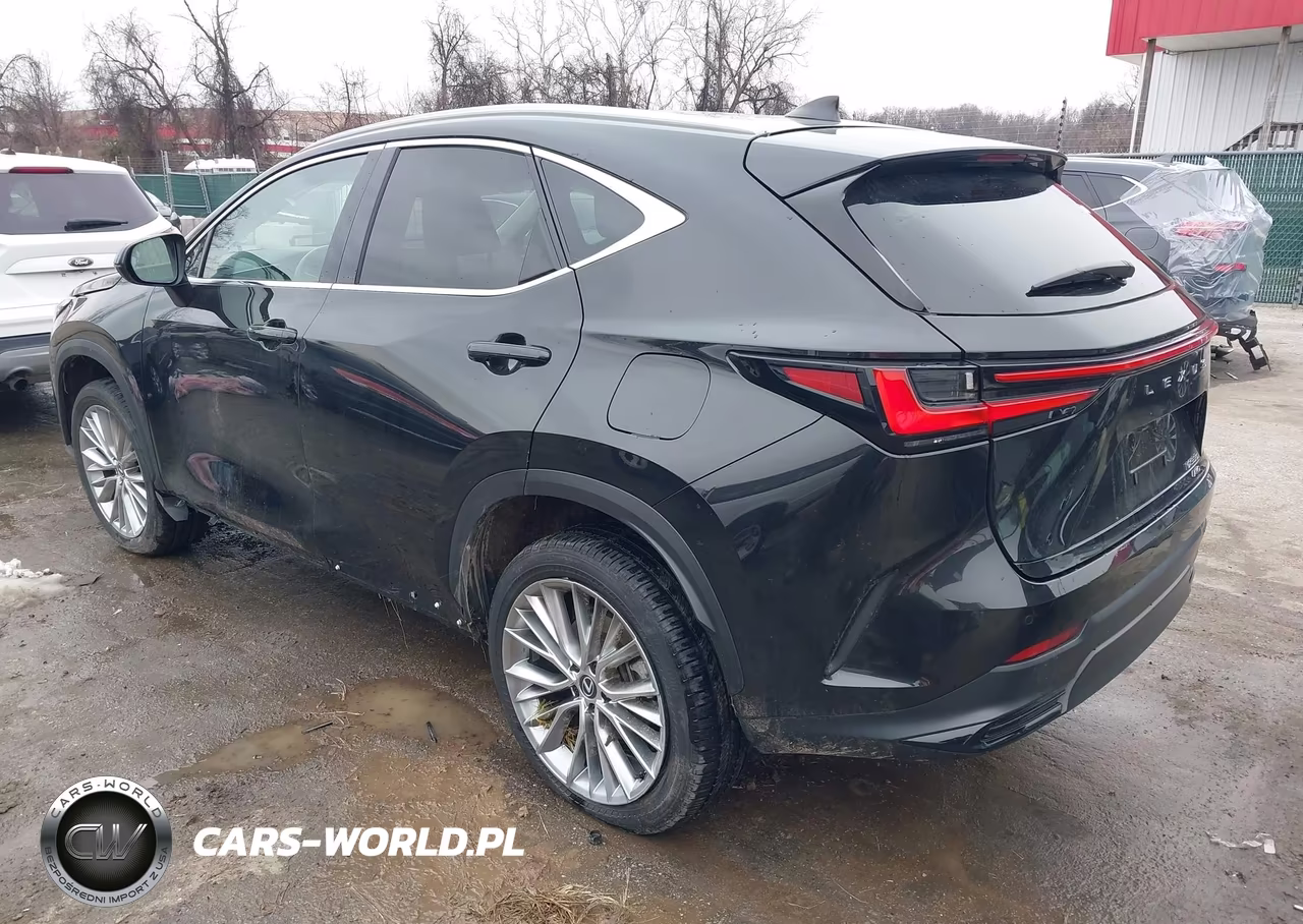 2025 Lexus Nx 350 Premium VIN:2T2GGCEZ7SC075592 - 3