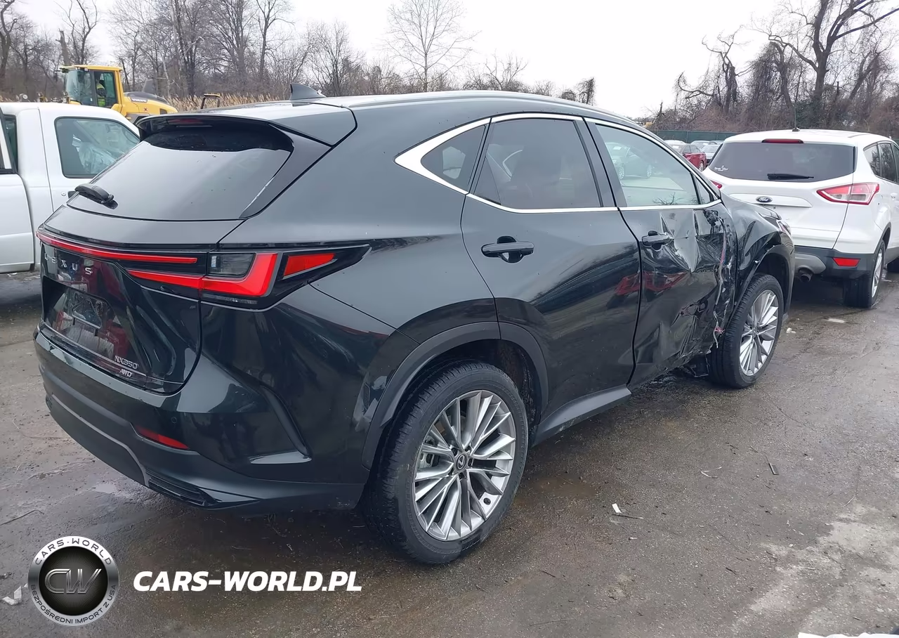 2025 Lexus Nx 350 Premium VIN:2T2GGCEZ7SC075592 - 4
