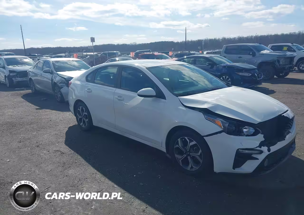 2019 Kia Forte Lxs