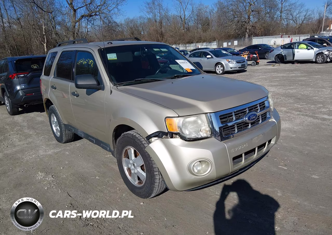 2011 Ford Escape Xlt