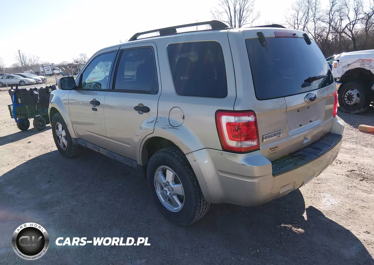 2011 Ford Escape Xlt VIN:1FMCU0D76BKB47399 - 3