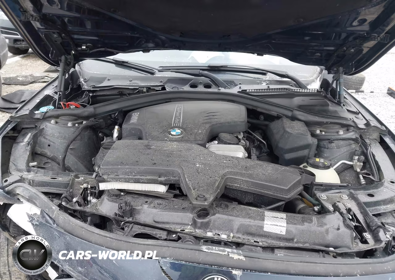 2016 BMW 320I VIN:WBA8E1G53GNU12287 - 10