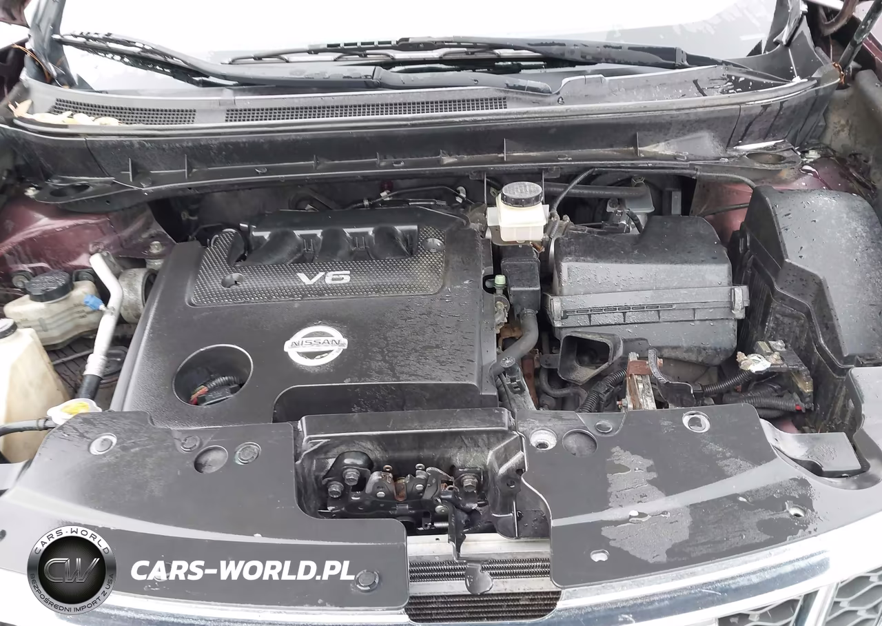 2013 Nissan Murano Sv VIN:JN8AZ1MW2DW320555 - 10