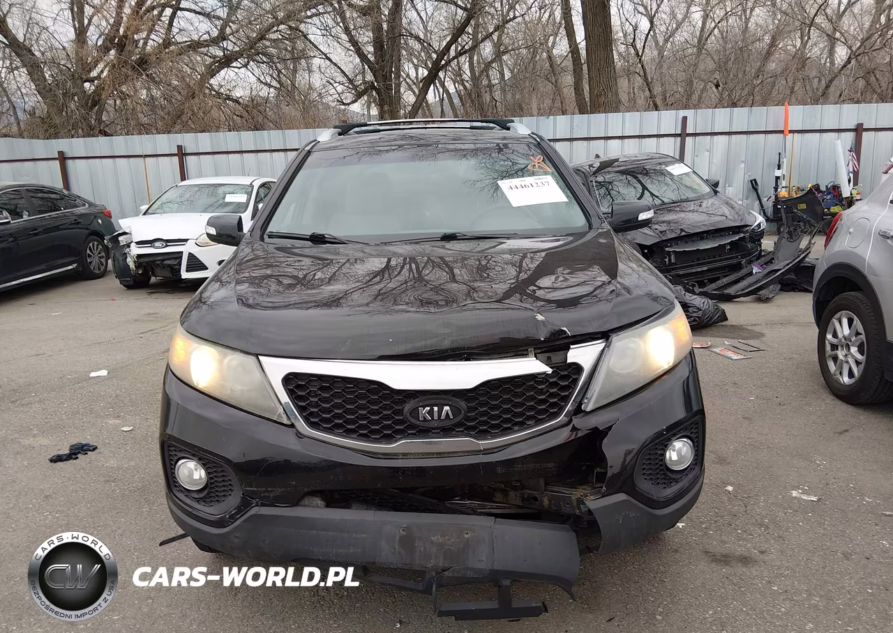 2012 Kia Sorento Lx VIN:5XYKTDA6XCG206550 - 12