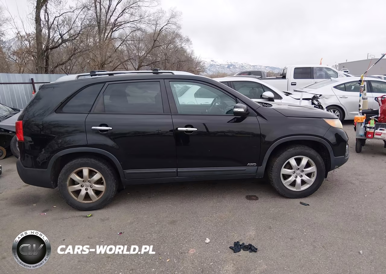 2012 Kia Sorento Lx VIN:5XYKTDA6XCG206550 - 13