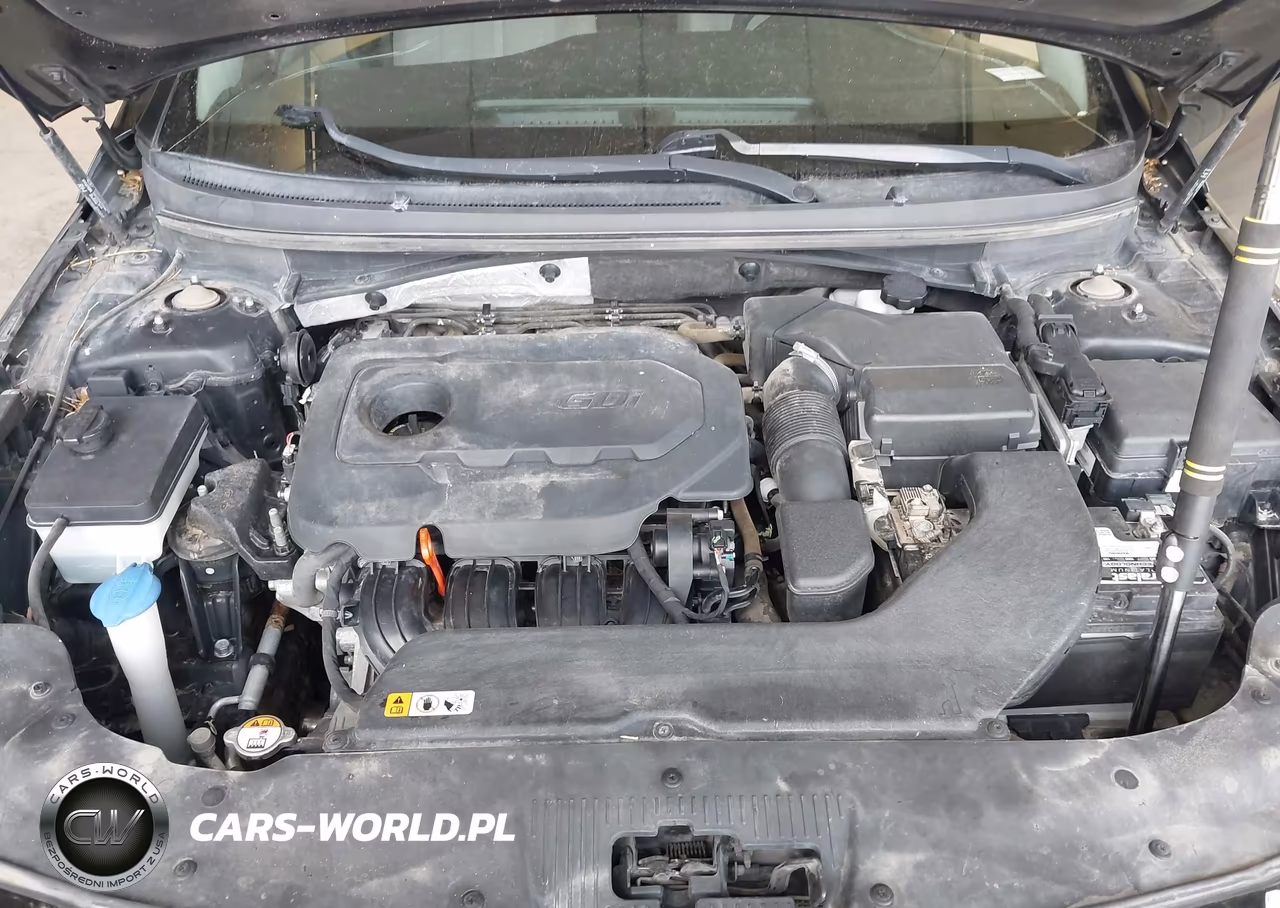 2015 Hyundai Sonata Se VIN:5NPE24AF5FH018483 - 10