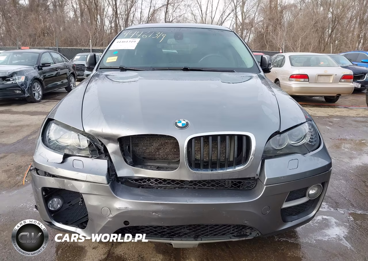 2014 BMW X6 xDrive35I VIN:5UXFG2C53E0K41484 - 12