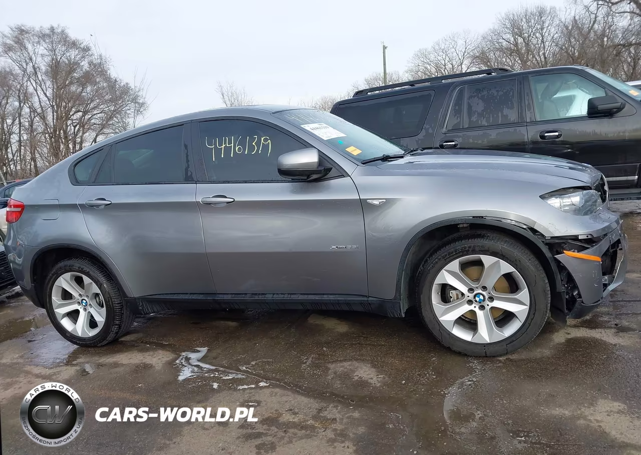 2014 BMW X6 xDrive35I VIN:5UXFG2C53E0K41484 - 13
