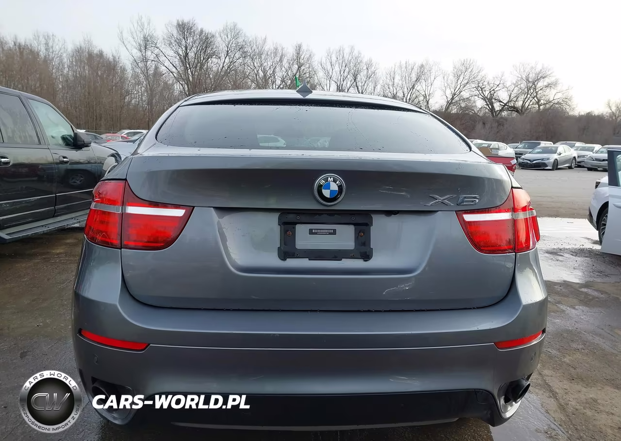 2014 BMW X6 xDrive35I VIN:5UXFG2C53E0K41484 - 16
