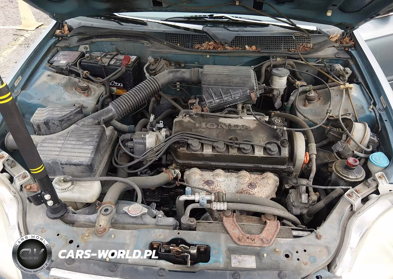 1998 Honda Civic Lx VIN:2HGEJ6671WH617486 - 10