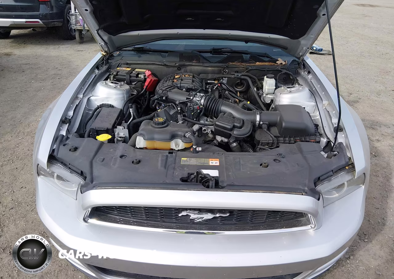 2013 Ford Mustang V6 VIN:1ZVBP8AM0D5283543 - 10
