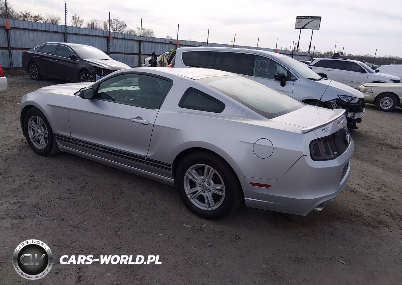 2013 Ford Mustang V6 VIN:1ZVBP8AM0D5283543 - 3