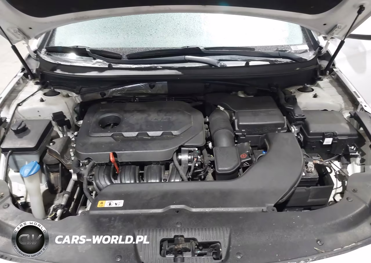 2015 Hyundai Sonata Se VIN:5NPE24AF5FH254311 - 10