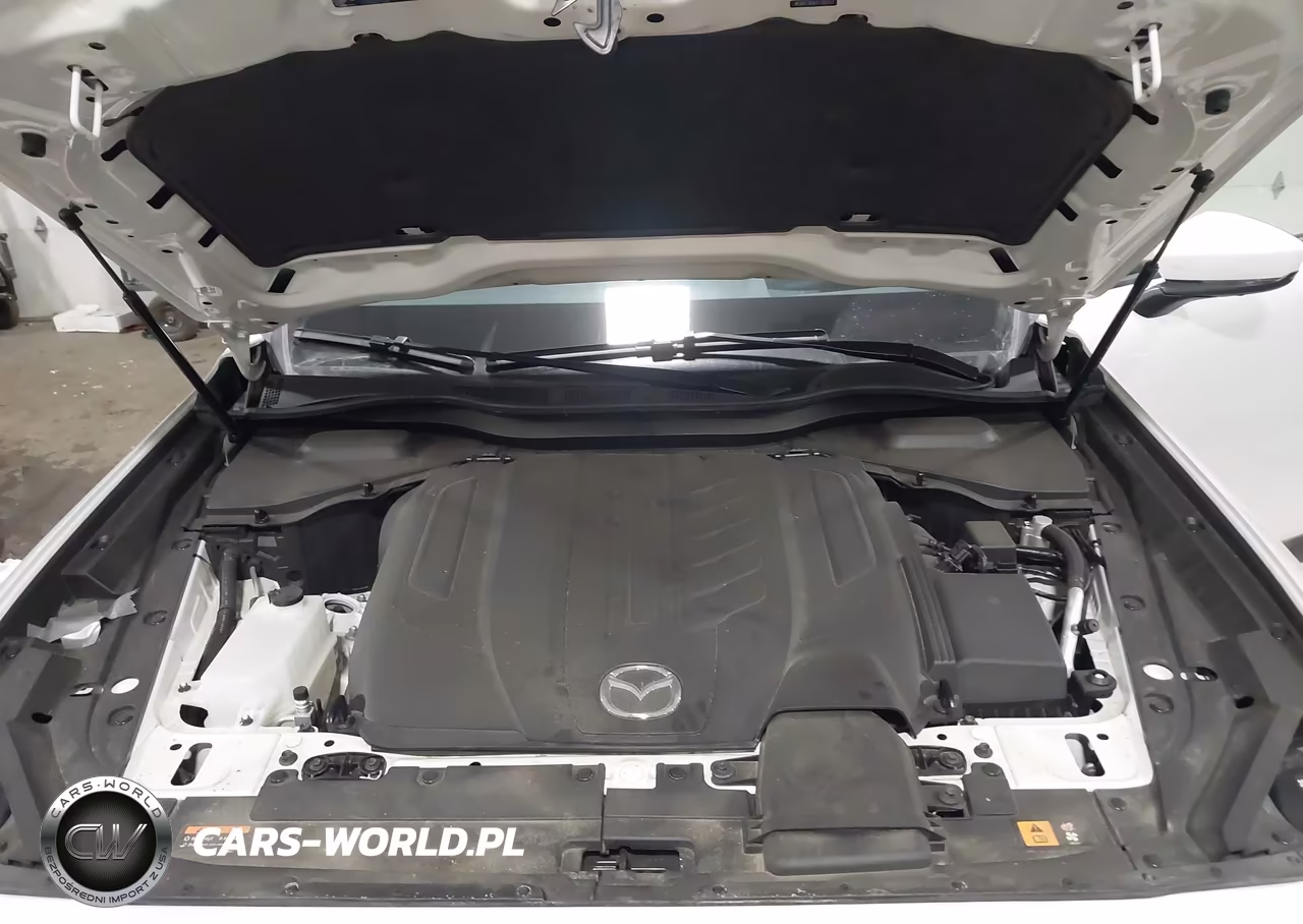 2024 Mazda Cx-90 3.3 Turbo Premium Plus VIN:JM3KKEHDXR1188161 - 10