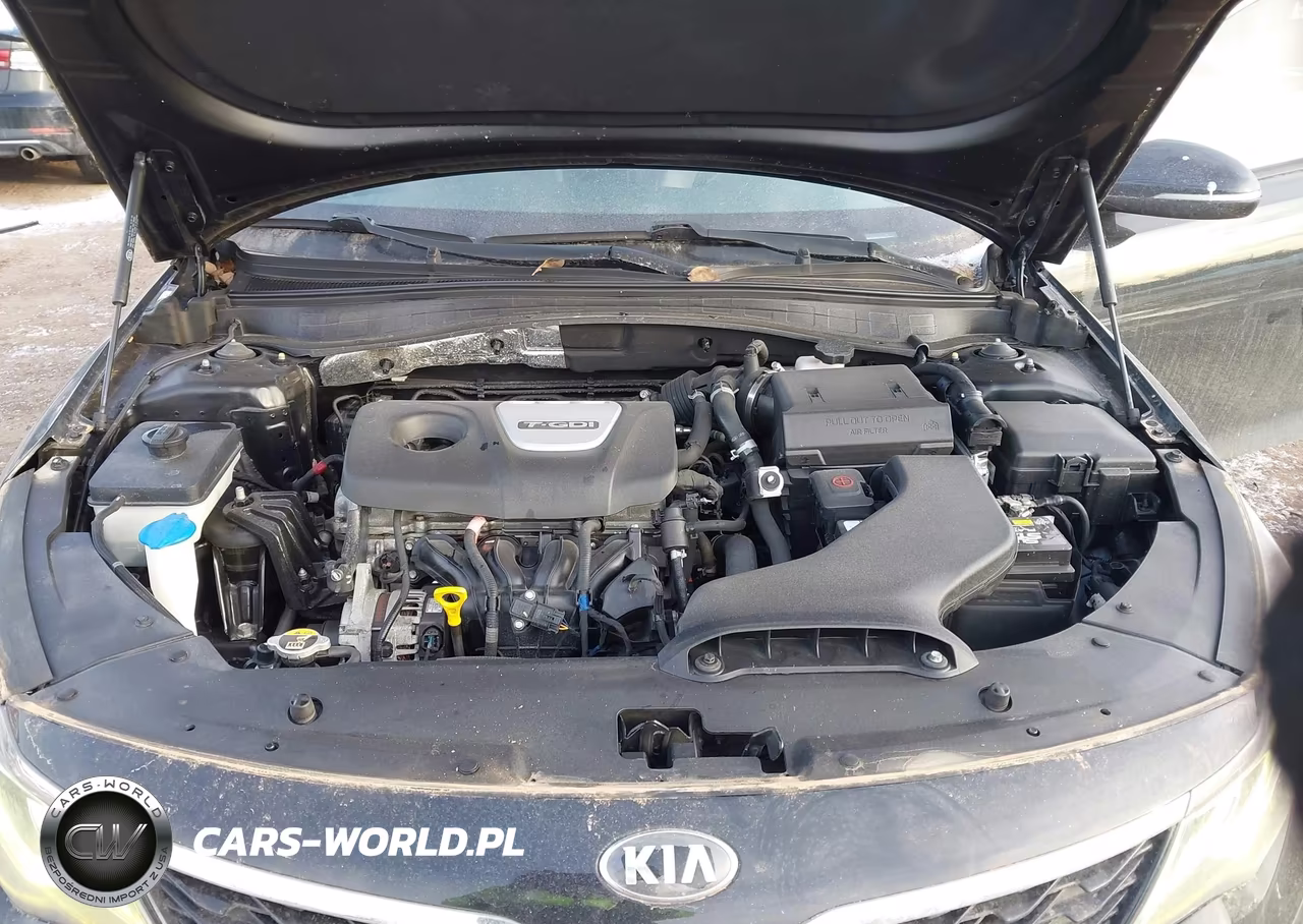 2019 Kia Optima Ex VIN:5XXGU4L17KG317323 - 10
