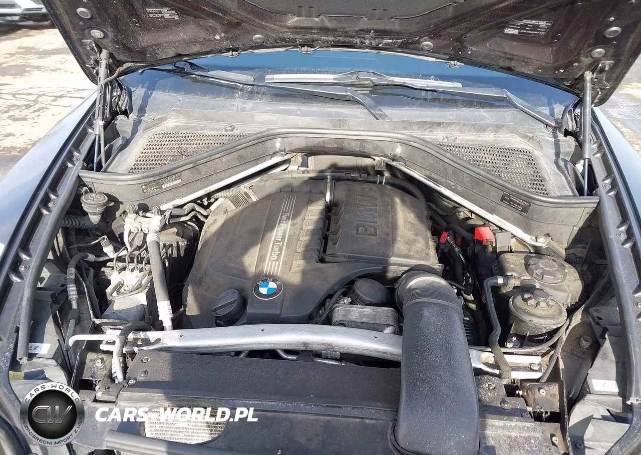 2013 BMW X6 xDrive35I VIN:5UXFG2C54DL785277 - 10