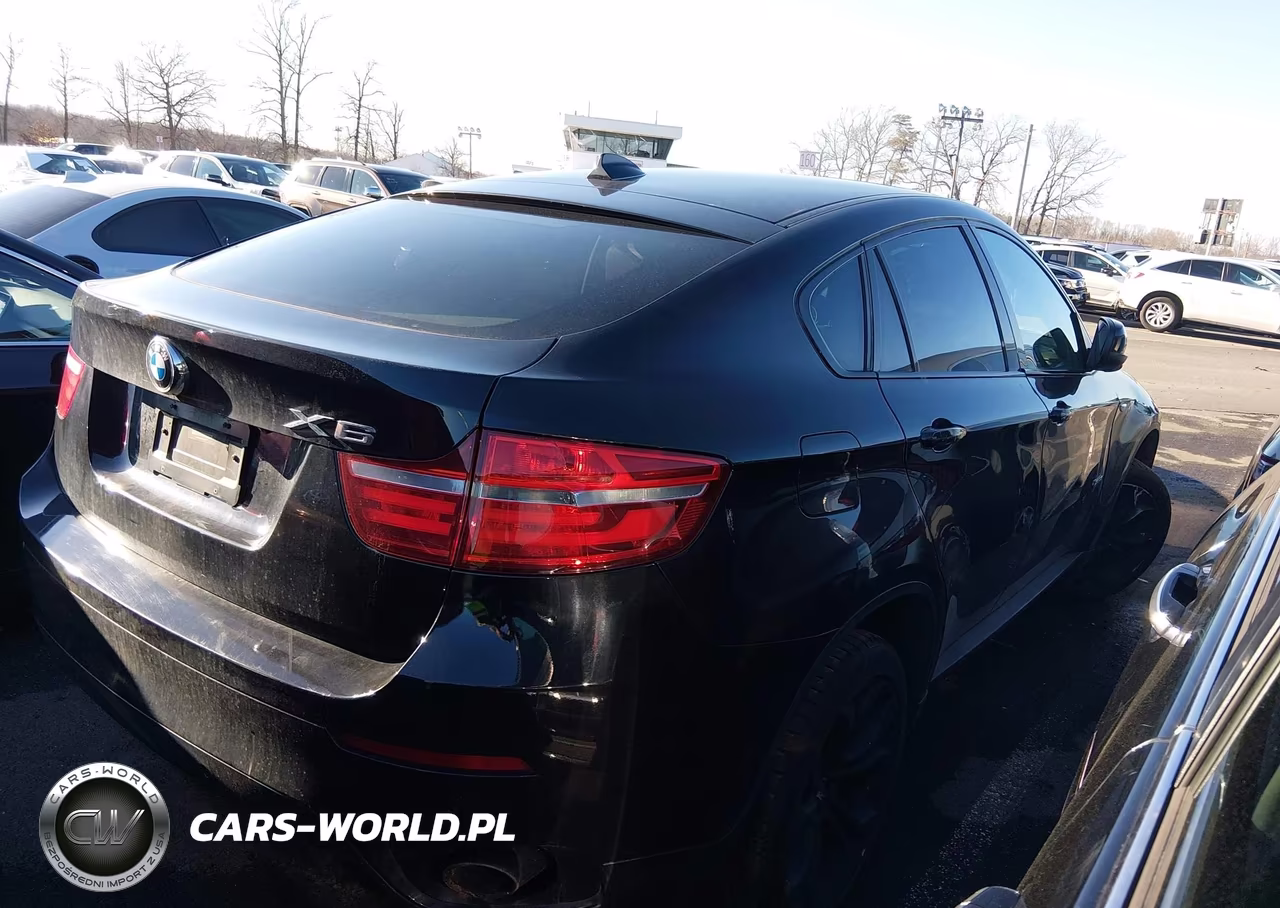 2013 BMW X6 xDrive35I VIN:5UXFG2C54DL785277 - 12