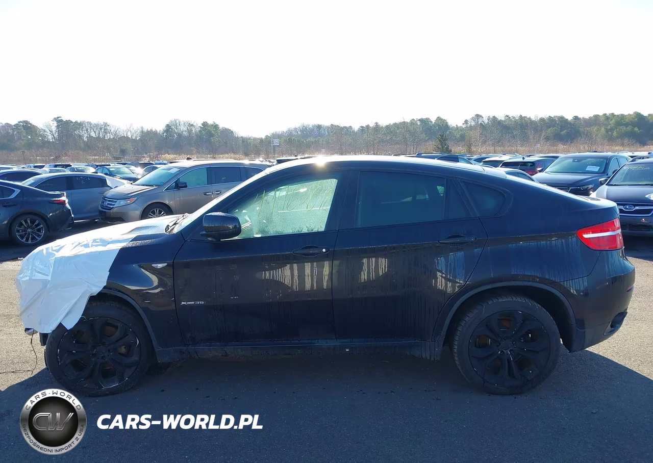 2013 BMW X6 xDrive35I VIN:5UXFG2C54DL785277 - 13