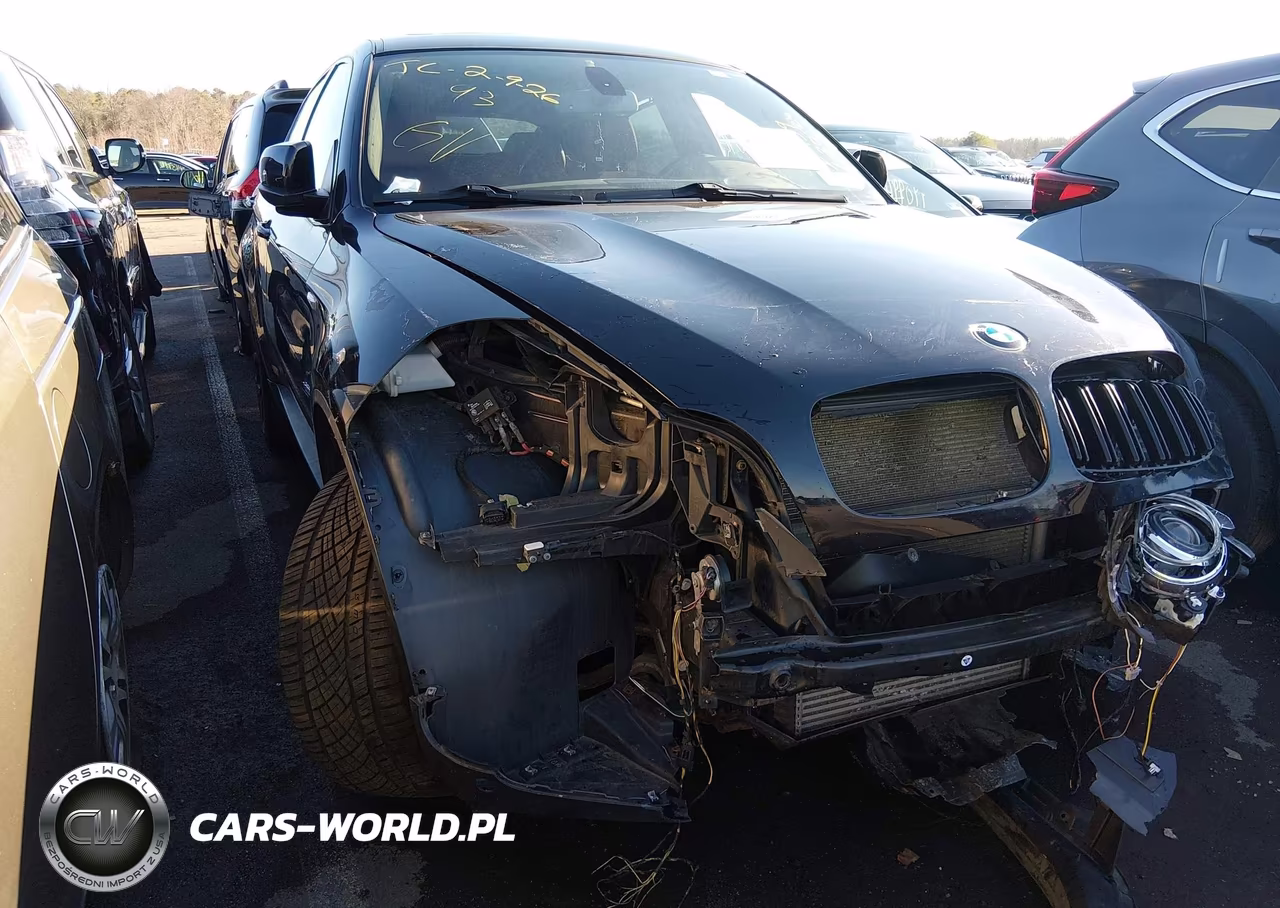 2013 BMW X6 xDrive35I VIN:5UXFG2C54DL785277 - 17