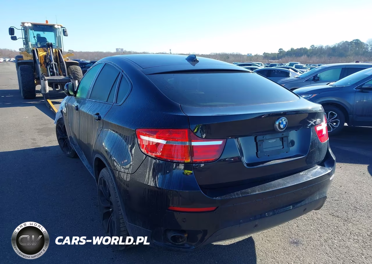 2013 BMW X6 xDrive35I VIN:5UXFG2C54DL785277 - 3