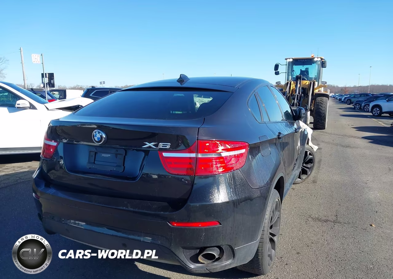 2013 BMW X6 xDrive35I VIN:5UXFG2C54DL785277 - 4