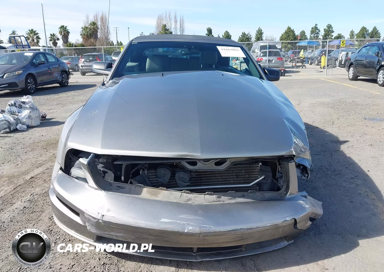 2008 Ford Mustang Gt Deluxe-Gt Premium VIN:1ZVHT85H985125291 - 12