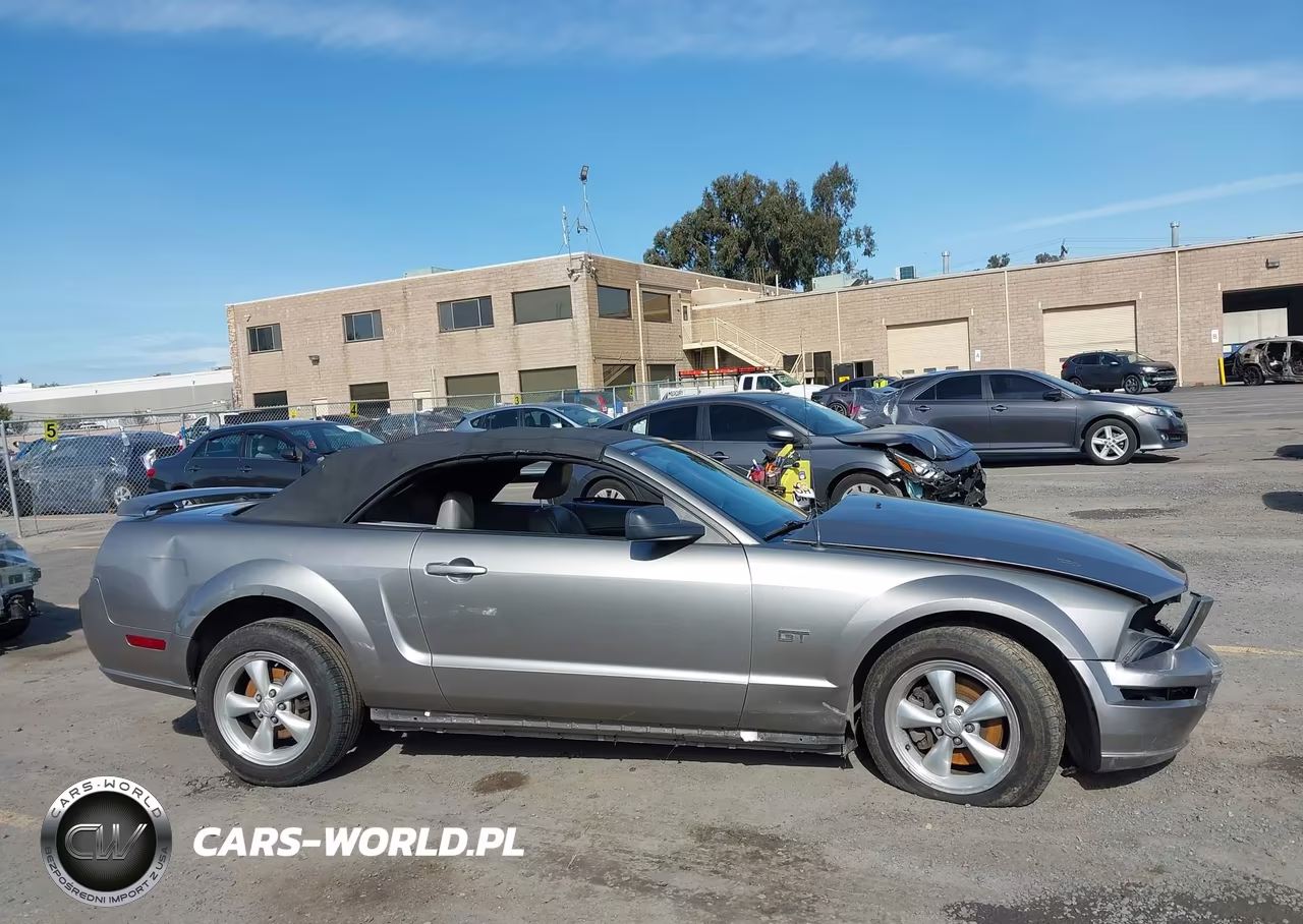 2008 Ford Mustang Gt Deluxe-Gt Premium VIN:1ZVHT85H985125291 - 13