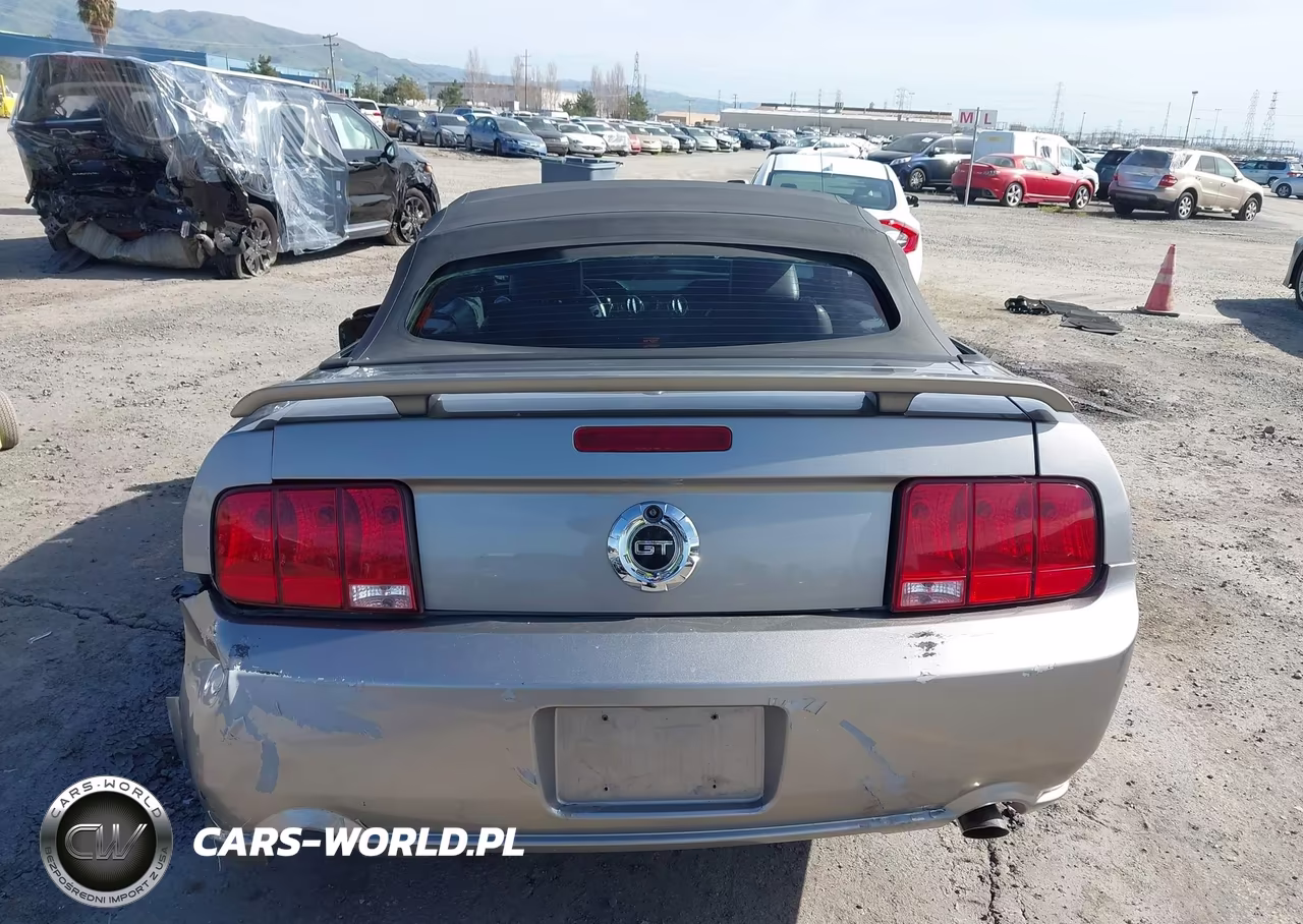 2008 Ford Mustang Gt Deluxe-Gt Premium VIN:1ZVHT85H985125291 - 16