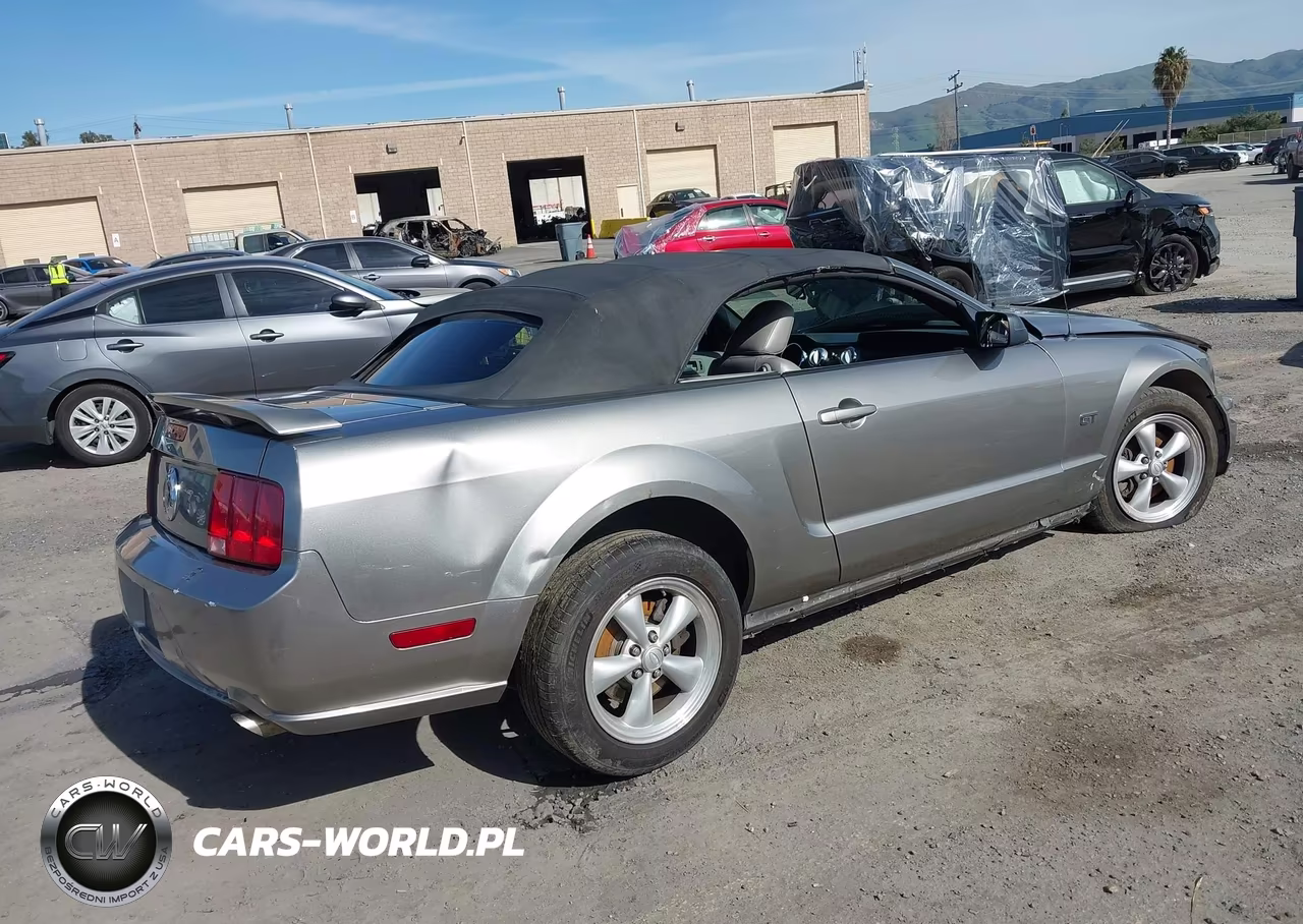 2008 Ford Mustang Gt Deluxe-Gt Premium VIN:1ZVHT85H985125291 - 4